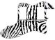 Zebra 1