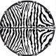 Zebra 1