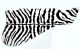 Zebra 1