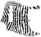 Zebra 1