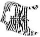 Zebra 1