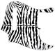 Zebra 1