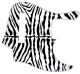 Zebra 1