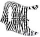 Zebra 1