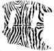 Zebra 1