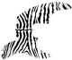 Zebra 1
