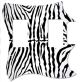 Zebra 1