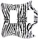 Zebra 1