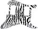 Zebra 1