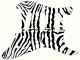 Zebra 1