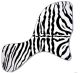 Zebra 1