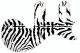 Zebra 1