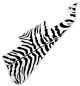Zebra 1