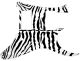 Zebra 1