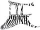 Zebra 1