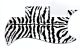 Zebra 1