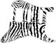 Zebra 1