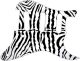 Zebra 1
