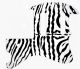 Zebra 1