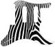 Zebra 2