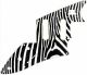 Zebra 2