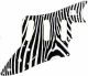 Zebra 2