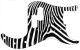 Zebra 2