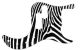 Zebra 2