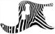 Zebra 2