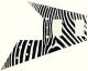 Zebra 2