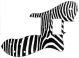 Zebra 2 - Vintera '70s Tele Custom