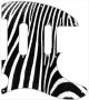 Zebra 2