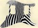Zebra 2