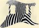 Zebra 2