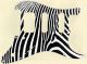 Zebra 2