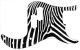 Zebra 2