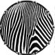Zebra 2
