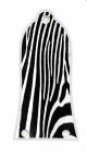 Zebra 2