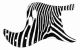Zebra 2