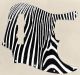 Zebra 2