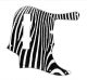 Zebra 2