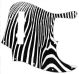 Zebra 2