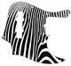 Zebra 2