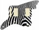 Zebra 2