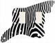 Zebra 2