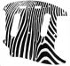 Zebra 2