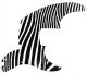 Zebra 2