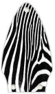 Zebra 2