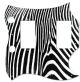 Zebra 2