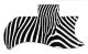 Zebra 2